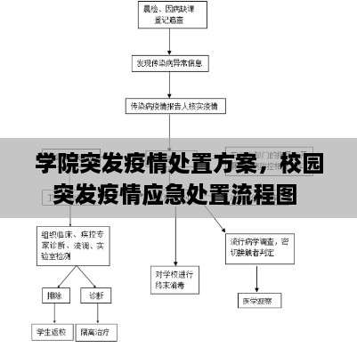 学院突发疫情处置方案，校园突发疫情应急处置流程图 