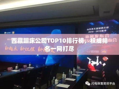 西藏蹦床公司TOP10排行榜，权威排名一网打尽