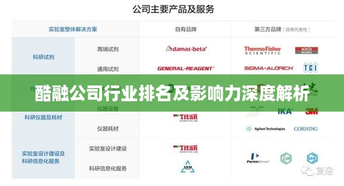 酷融公司行业排名及影响力深度解析