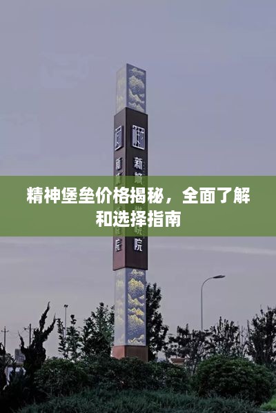 精神堡垒价格揭秘，全面了解和选择指南