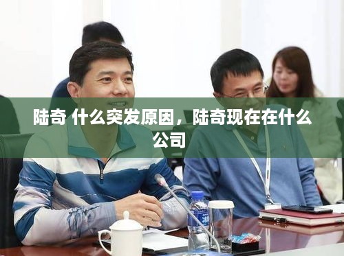 陆奇 什么突发原因，陆奇现在在什么公司 