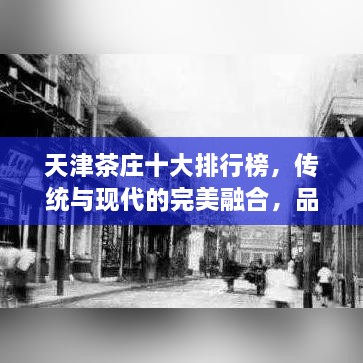 天津茶庄十大排行榜，传统与现代的完美融合，品味地道好茶！