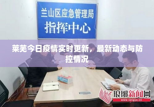 莱芜今日疫情实时更新，最新动态与防控情况