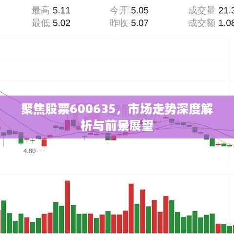聚焦股票600635，市场走势深度解析与前景展望