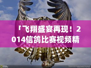 「飞翔盛宴再现！2014信鸽比赛视频精彩回顾」