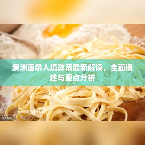 澳洲面条入境政策最新解读，全面概述与要点分析