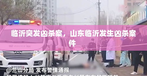 临沂突发凶杀案，山东临沂发生凶杀案件 