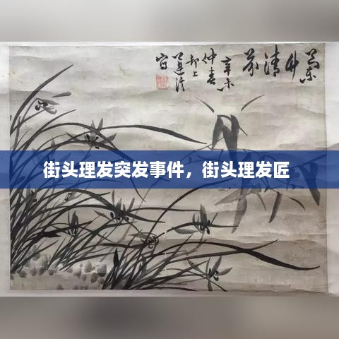 街头理发突发事件，街头理发匠 