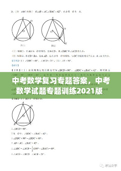中考数学复习专题答案，中考数学试题专题训练2021版 