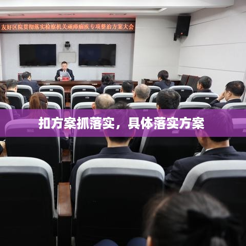 扣方案抓落实，具体落实方案 