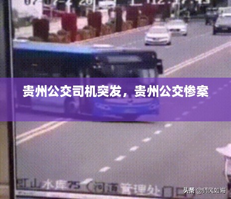 贵州公交司机突发，贵州公交惨案 