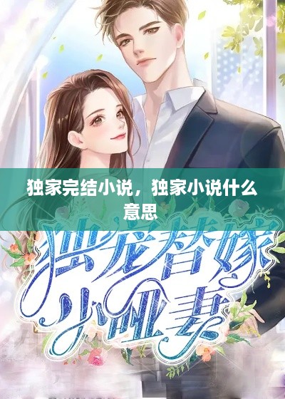 独家完结小说，独家小说什么意思 