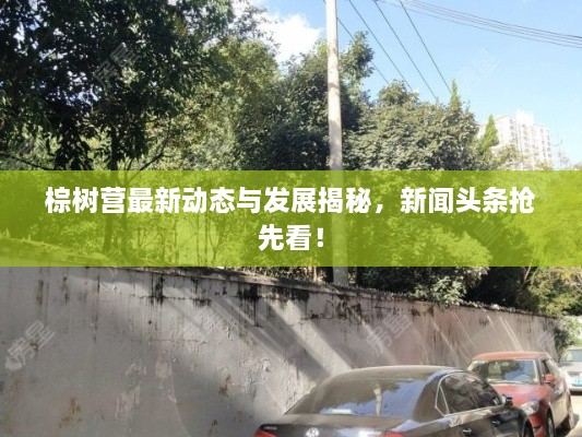 棕树营最新动态与发展揭秘，新闻头条抢先看！