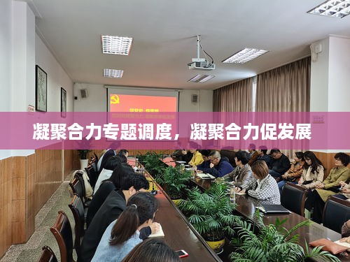 凝聚合力专题调度，凝聚合力促发展 