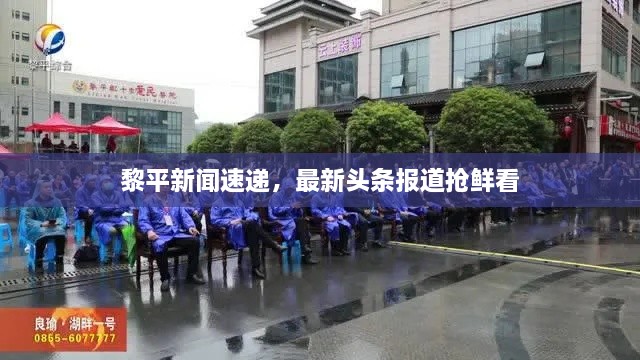 黎平新闻速递，最新头条报道抢鲜看