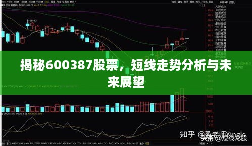 揭秘600387股票，短线走势分析与未来展望