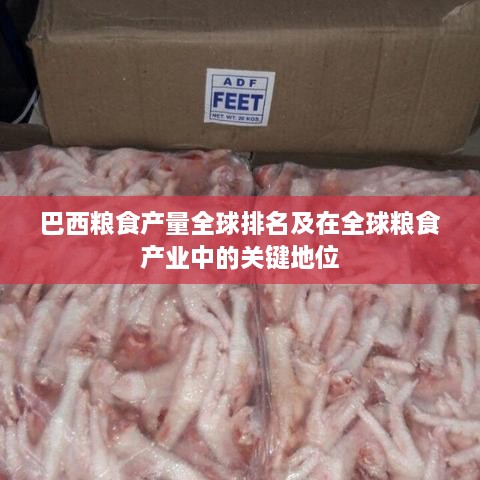 巴西粮食产量全球排名及在全球粮食产业中的关键地位