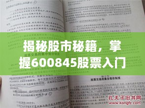 揭秘股市秘籍，掌握600845股票入门指南！