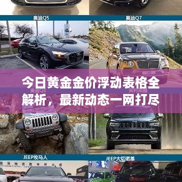 今日黄金金价浮动表格全解析，最新动态一网打尽