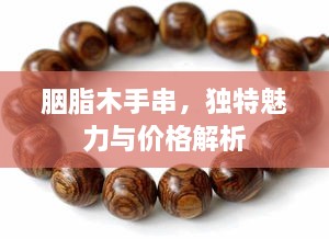 胭脂木手串，独特魅力与价格解析
