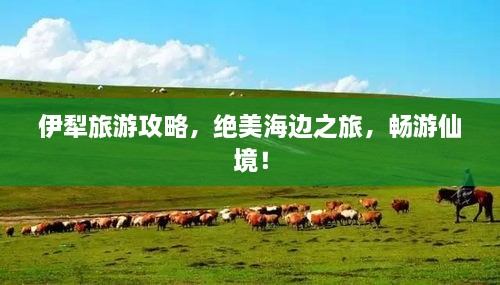 伊犁旅游攻略，绝美海边之旅，畅游仙境！