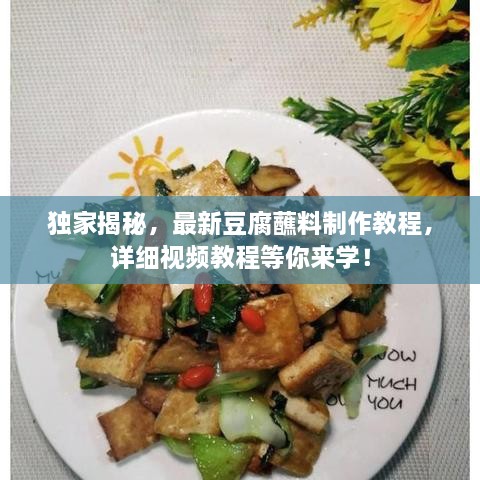 独家揭秘，最新豆腐蘸料制作教程，详细视频教程等你来学！