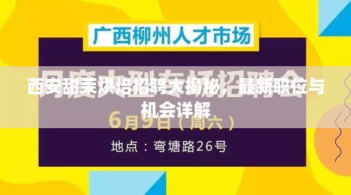 西安甜茉烘焙招聘大揭秘，最新职位与机会详解