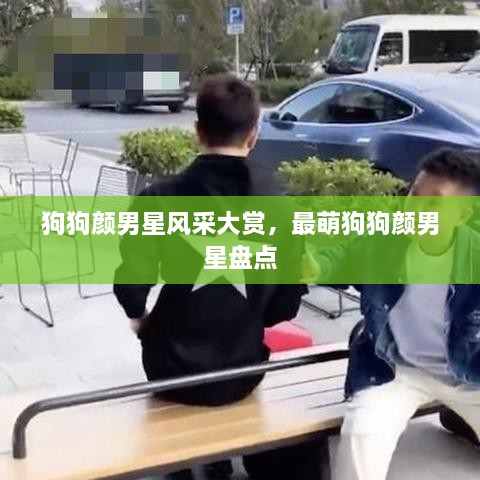 狗狗颜男星风采大赏，最萌狗狗颜男星盘点