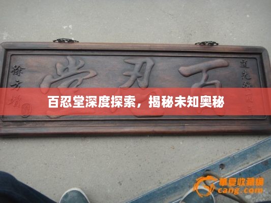 百忍堂深度探索，揭秘未知奥秘