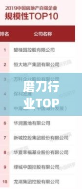 磨刀行业TOP10榜单揭晓！
