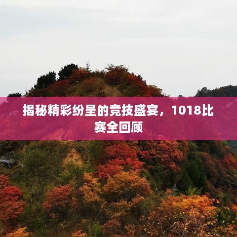 揭秘精彩纷呈的竞技盛宴，1018比赛全回顾