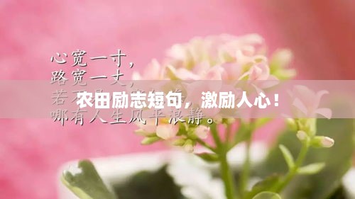 农田励志短句，激励人心！