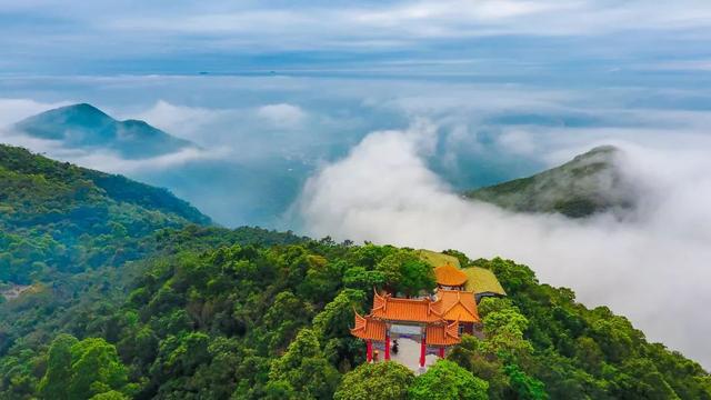 启程江都探秘之旅，自然美景的心灵之旅，最新江都新闻快报（11月7日）