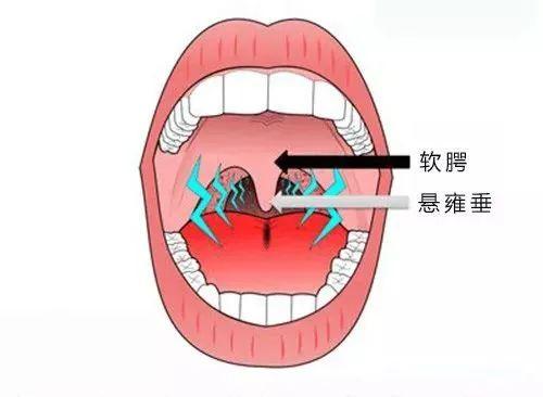 探索口腔健康未来，最新口腔音趋势分析（11月8日更新）