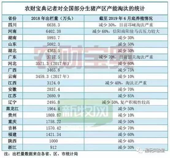 2024新奥资料精选宝典：SFZ623.18创新版综合解读答疑