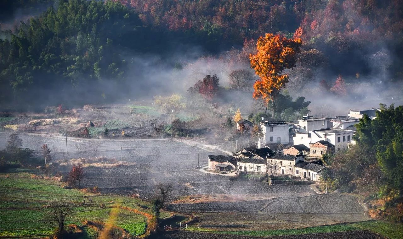 秋日暖阳下的南行奇遇，11月9日疫情下的南行之旅