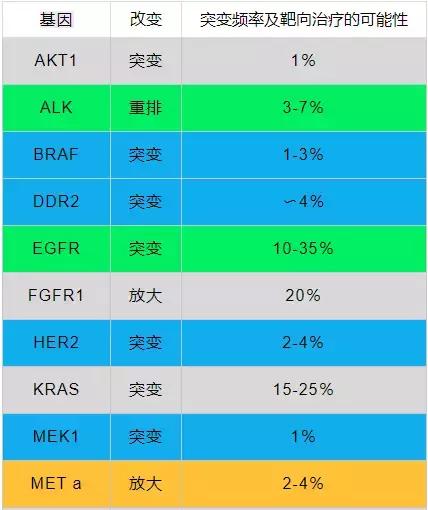 新奥门免费资料一览：历史开奖马数、全面策略解读_网络版