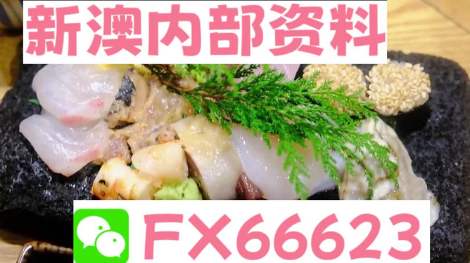 新澳精准资料免费提供,动态词语解析_中级版CEN672.22