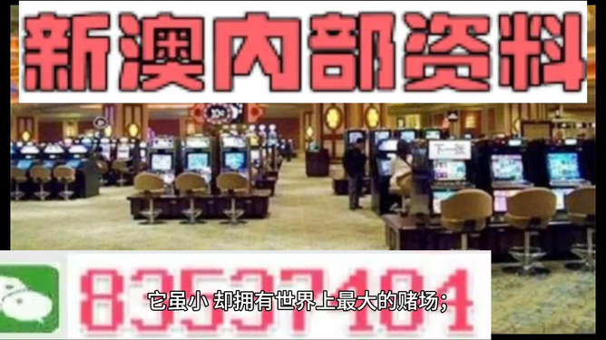 2024新澳正版资料最新更新,最佳精选解释_手游版XEW783.18