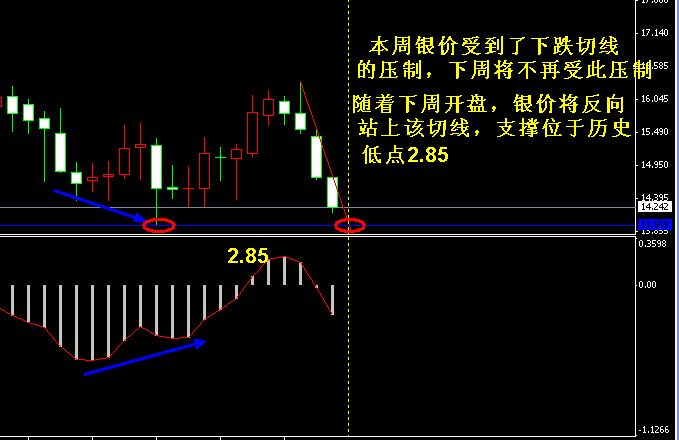 本月白银实时行情概览，最新分析与展望