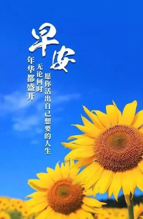 十一月早安正能量，启程探索自然美景，寻找内心的平和与宁静