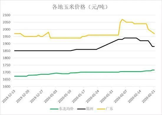 美国疫情局势深度解析，最新动态、特性体验、竞品对比与用户群体分析