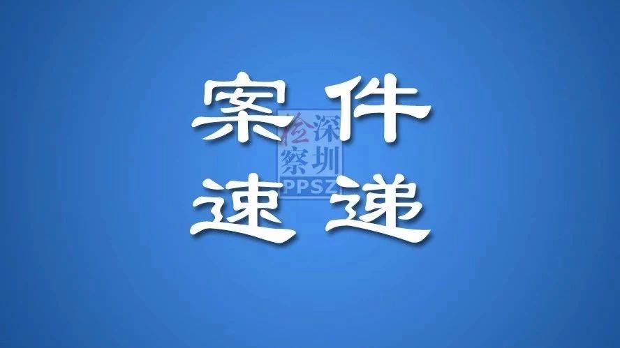 段传尧最新动态与深度解读，本周消息、产品特性及用户体验全面剖析