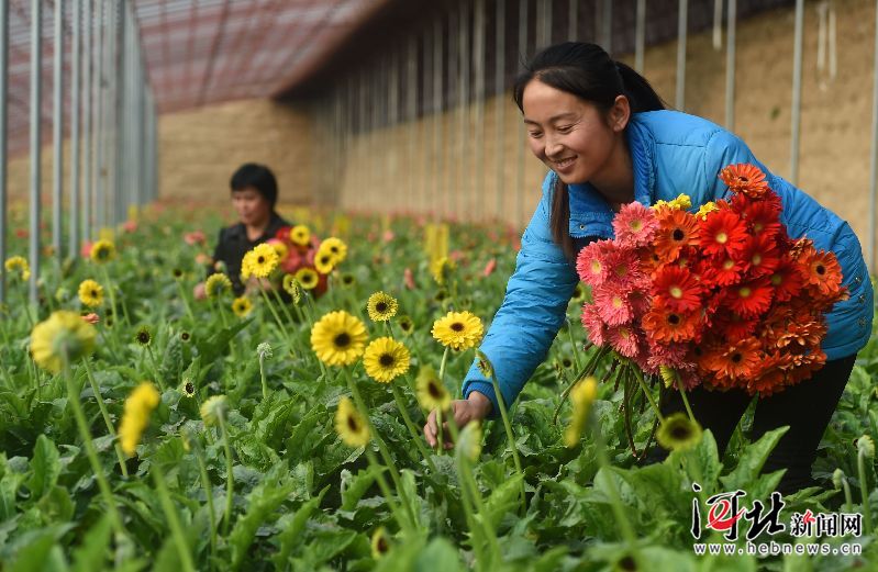 隆阳区扶贫办创新举措助力脱贫攻坚迈向新高度，本周动态及最新新闻速递