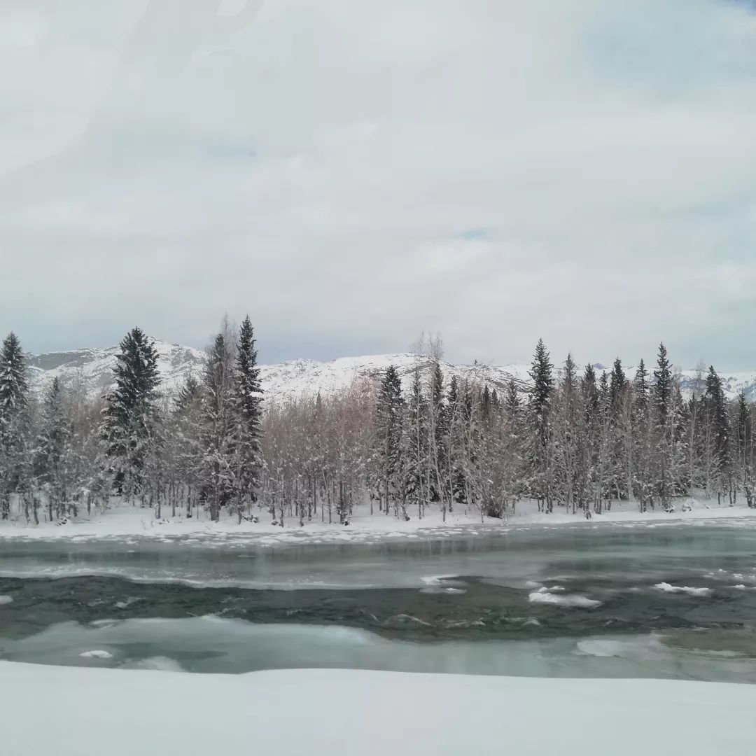 东北雪韵之下，小巷风情与隐藏特色小店揭秘（最新消息）