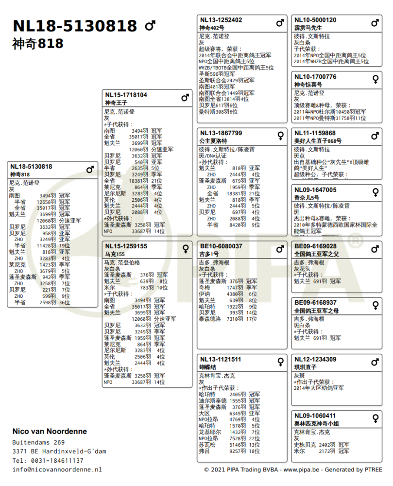 新澳精准资料免费大全,最佳精选解释定义_天地神衹OYH276.67