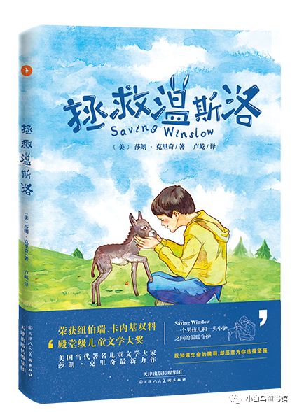 仙医苏尘的温馨日常趣事与温情纽带——2024年11月13日篇章