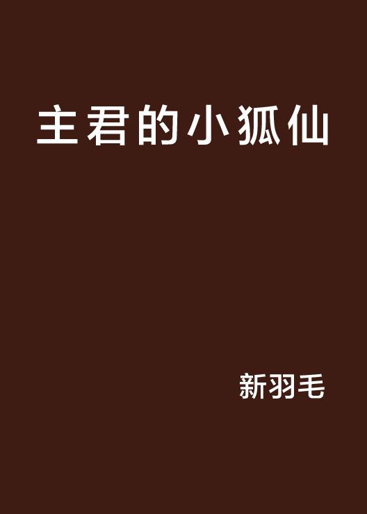 揭秘小狐仙文化传承与创新，最新动态尽在11月13日小狐仙最新消息