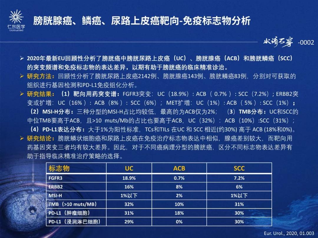 944CC每日彩种资料，细致实施分析_KDY87.107穿戴版