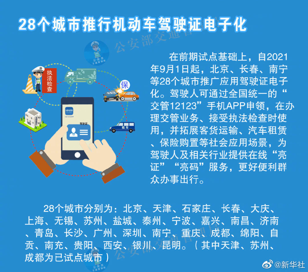 2024新奥全年资料免费大全,实践调查说明_ZUW77.207便携版